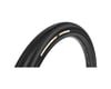 Related: Panaracer Gravel King Slick Tubeless Gravel Tire (Black) (700c) (30mm)