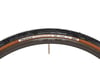 Image 4 for Panaracer Gravelking SK Tubeless Gravel Tire (Black/Brown) (700c / 622 ISO) (32mm)