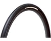 Related: Panaracer Gravelking SK+ Tubeless Gravel Tire (Black) (700c) (32mm)