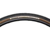 Image 1 for Panaracer Gravelking SK Tubeless Gravel Tire (Black/Brown) (700c / 622 ISO) (38mm)
