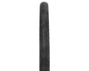 Image 2 for Panaracer Gravelking SK Tubeless Gravel Tire (Black/Brown) (700c / 622 ISO) (50mm)