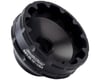 Image 1 for Park Tool BBT-35-12 Bottom Bracket Tool (Black) (12-Notch)