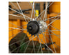 Image 3 for Pedro's Freewheel Socket for Single Speed (4-Notch x 40mm)