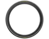 Image 2 for Pirelli P Zero Race Tubeless Road Tire (Black/Yellow Label) (700c) (26mm)