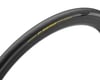 Image 2 for Pirelli P Zero Race Road Tire (Black/Yellow Label) (700c) (26mm)