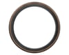 Image 2 for Pirelli P Zero Race TLR Tubeless Road Tire (Classic Tan) (700c) (30mm)