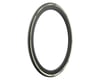 Image 1 for Pirelli P Zero Race TLR Tubeless Road Tire (Black/Retro Tan Wall) (700c) (700c) (28mm)