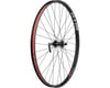 Image 2 for Quality Wheels WTB Asym i29 Front Wheel (29") (15/QR x 100mm) (Centerlock)