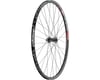 Image 2 for Quality Wheels 105/DT 533d Front Wheel (29") (12 x 100mm) (Centerlock)