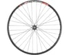 Image 3 for Quality Wheels 105/DT 533d Front Wheel (29") (12 x 100mm) (Centerlock)