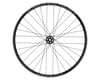 Image 3 for Quality Wheels Bear Pawls/RaceFace AR Front Wheel (29") (15 x 110mm) (6-Bolt)