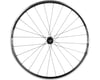 Image 4 for Quality Wheels DT 350/DT R460 Front Wheel (700c) (QR x 100mm)