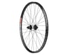 Image 1 for Quality Wheels DT 350/DT XM481 Rear Wheel (29") (12 x 157mm) (6-Bolt) (Microspline)