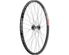 Image 2 for Quality Wheels DT 350/DT XM481 Front Wheel (29") (15 x 110mm) (6-Bolt)