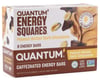 Image 1 for Quantum Energy Squares (Peanut Butter Dark Chocolate) (8 | 1.69oz Packets)