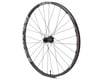 Image 1 for Race Face ERA Wheels (Black) (Front) (15 x 110mm (Boost)) (29")