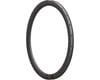 Related: Reserve Wheels 44 Road Rim (Carbon) (700c) (Disc Brake) (24H)