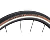 Image 3 for Ritchey Alpine JB Comp Gravel Tire (Tan Wall) (700c / 622 ISO) (30mm)