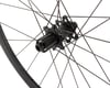 Image 3 for Ritchey WCS Apex 38 Carbon Road Disc Wheelset (Black) (Shimano/SRAM 11-Speed) (700c)