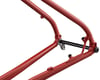 Image 3 for Ritchey P-29er Mountain Frameset (Dirt in Blood) (S)