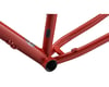 Image 5 for Ritchey P-29er Mountain Frameset (Dirt in Blood) (S)