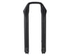 Image 2 for RockShox Lower Leg (SID RLC A1/SID XX/RL B1 (2017+) Reba A7 80-100mm (2018+)