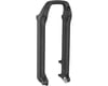 Image 1 for RockShox Lower Leg (Pike B3, 29", 15 x 110mm, Diffusion Black)