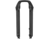 Image 2 for RockShox Lower Leg (Pike B3, 29", 15 x 110mm, Diffusion Black)