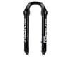 Image 2 for RockShox Lower Leg (LYRIK ULT 29B GLB D1)