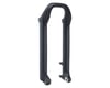 Image 1 for RockShox Lower Leg (Lyrik B1-C1/Yari A1-B1, 29"/27.5+ 15 x 110mm Boost Spacing)