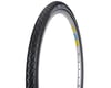 Image 1 for Schwalbe Marathon Tire (Black/Reflex) (700c / 622 ISO) (38mm)
