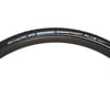 Image 1 for Schwalbe Marathon Plus Tire (700 x 28)