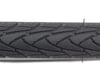 Image 3 for Schwalbe Marathon Plus Tire (Black) (700c) (32mm)