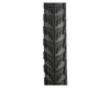 Image 2 for Schwalbe Marathon GT 365 FourSeason Tire (Black) (26" / 559 ISO) (2.0")