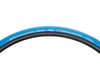 Image 1 for Schwalbe Insider Trainer Tire (Blue) (Folding Bead) (700 x 23)