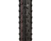 Image 2 for Schwalbe Rocket Ron HS438 Addix Speed Tire (LiteSkin) (29 x 2.25)