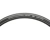 Image 1 for Schwalbe One Road Tire (Black w/ White Stripes) (EVO) (Folding Bead) (700x23)