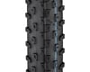Image 2 for Schwalbe Racing Ray HS489 Tubeless Mountain Tire (Black) (29" / 622 ISO) (2.25")