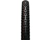 Image 2 for Schwalbe Hans Dampf HS491 Tubeless Mountain Tire (Black)