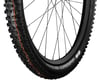 Image 3 for Schwalbe Hans Dampf HS491 Tubeless Mountain Tire (Black)