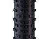 Image 3 for Schwalbe Racing Ralph HS490 Tubeless Mountain Tire (Black) (29" / 622 ISO) (2.1")