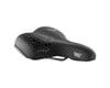 Related: Selle Royal Freeway Fit Saddle (Black) (Steel) (Relaxed)