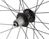 Image 3 for Shimano GRX WH-RX880 Carbon Gravel Wheels (Black) (Shimano 12 Speed Only) (Wheelset) (700c)