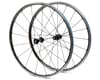 Image 1 for Shimano WH-RS81 C24 Clincher Wheel Set