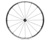 Image 2 for Shimano WH-RS81 C24 Clincher Wheel Set