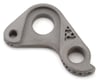 Image 1 for Silca 105 Titanium Derailleur Hanger (SRAM)