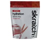 Skratch Labs Sport Hydration Drink Mix (Hot Apple Cider) (15.5oz)