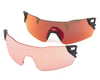 Image 3 for Smith Attack Sunglasses (Squall)