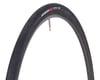 Image 1 for Specialized Roubaix Pro Endurance Road Tire (Black) (700c / 622 ISO) (23/25mm)