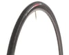 Image 1 for Specialized All Condition Armadillo Elite Tire (Black) (700c / 622 ISO) (23mm)